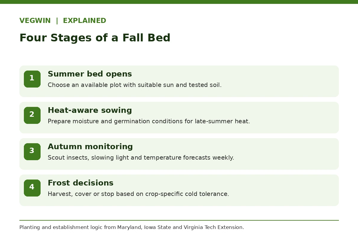 Four-stage fall vegetable garden plan from summer bed clearance to frost management